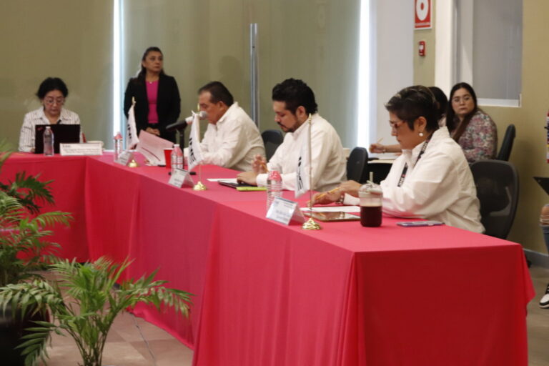 Com. 23 INEYucatán (2) (FILEminimizer)