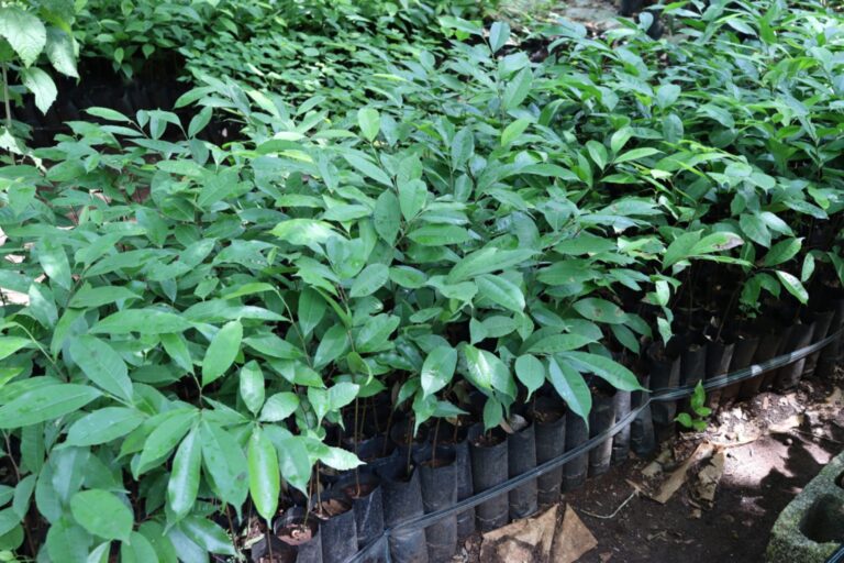 WhatsApp Image 2025-09-23 at 5.04.14 PM (2)