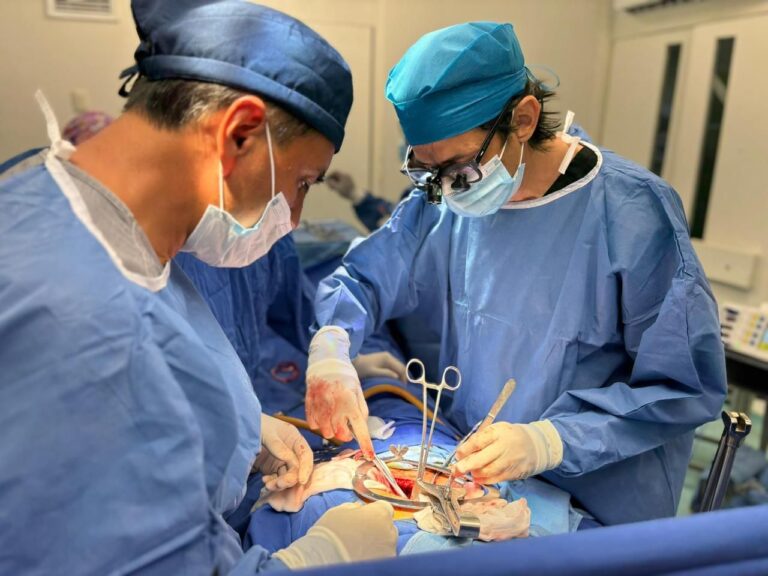 WhatsApp Image 2025-09-25 at 11.45.33 AM