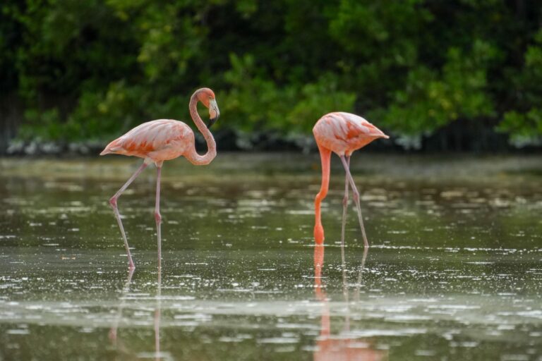 WhatsApp Image 2025-09-26 at 10.52.36 AM