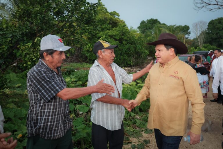 WhatsApp Image 2025-09-27 at 2.35.32 PM