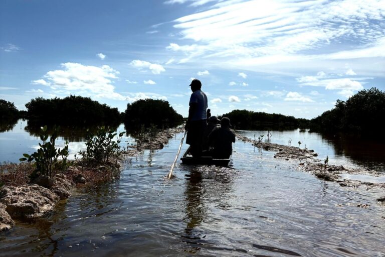 WhatsApp Image 2025-10-01 at 9.33.37 AM