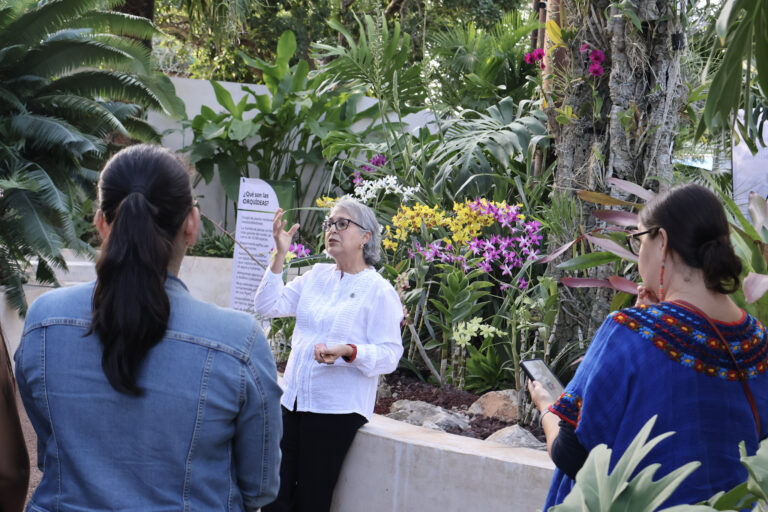 2025_11_Reapertura-CasasJBR-RO-CICY (6)