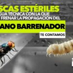 WhatsApp-Image-2025-05-06-at-11.13.00-AM-1000x600