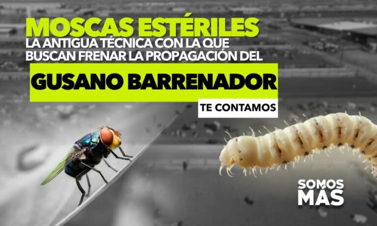 WhatsApp-Image-2025-05-06-at-11.13.00-AM-1000x600