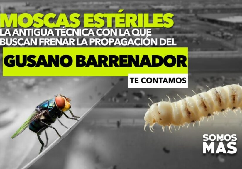 WhatsApp-Image-2025-05-06-at-11.13.00-AM-1000x600