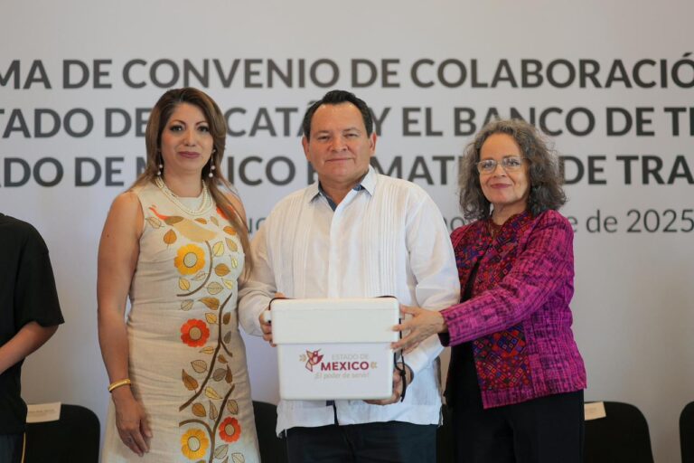 WhatsApp Image 2025-11-03 at 5.36.13 PM