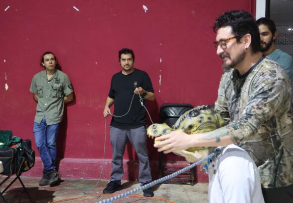 WhatsApp Image 2025-11-08 at 4.35.49 PM (1)