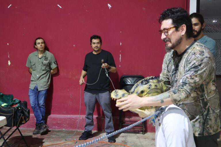 WhatsApp Image 2025-11-08 at 4.35.49 PM (1)