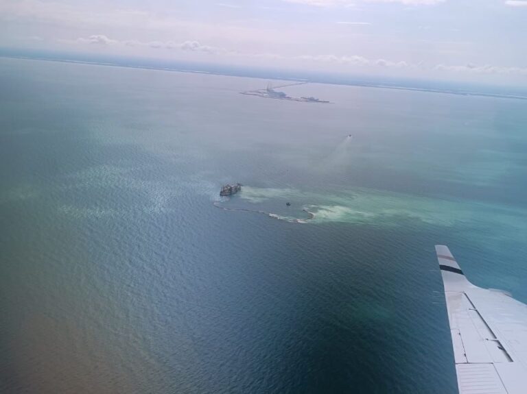 WhatsApp Image 2025-11-19 at 2.14.45 PM