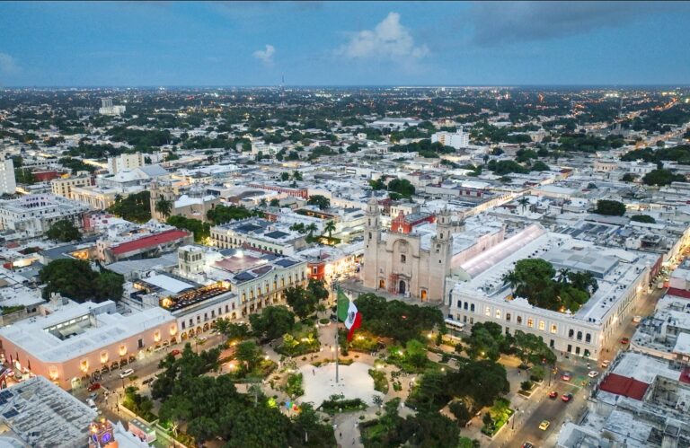 WhatsApp Image 2025-12-17 at 5.56.16 PM