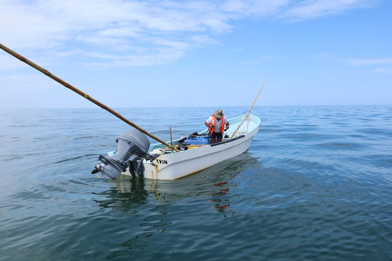 WhatsApp Image 2025-12-19 at 3.27.03 PM (1)