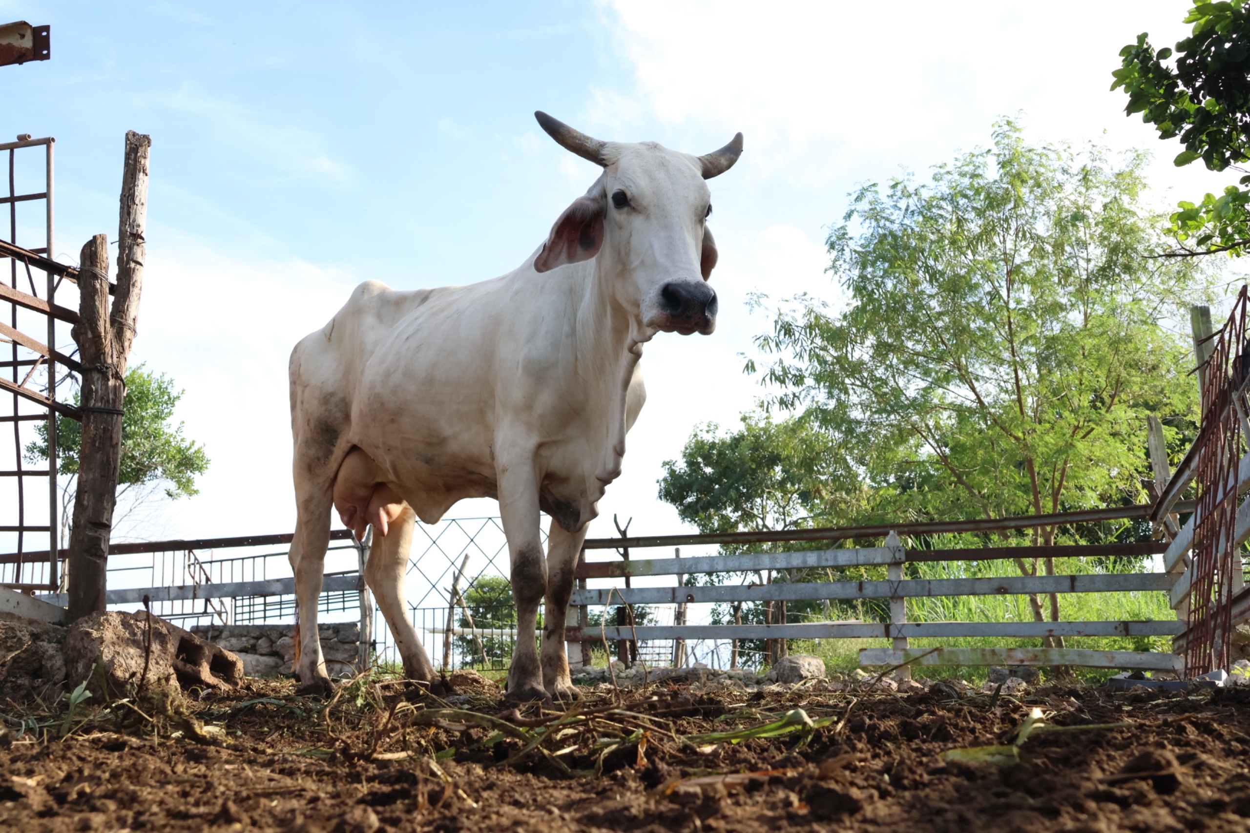 WhatsApp Image 2025-12-21 at 3.10.54 PM