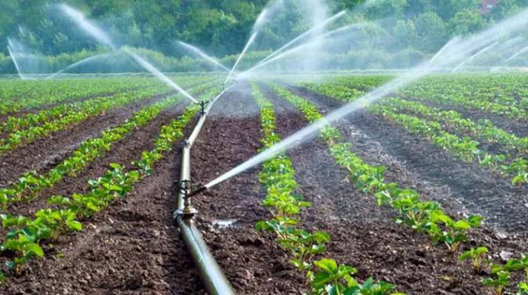 WhatsApp Image 2025-12-22 at 11.24.25 AM