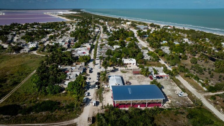 WhatsApp Image 2025-12-31 at 5.52.26 PM