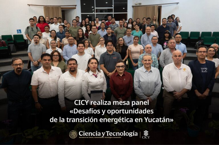 2025_01_26_panelEnergia (9)