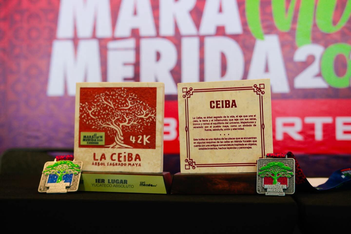 WhatsApp Image 2026-01-02 at 2.54.48 PM (1)