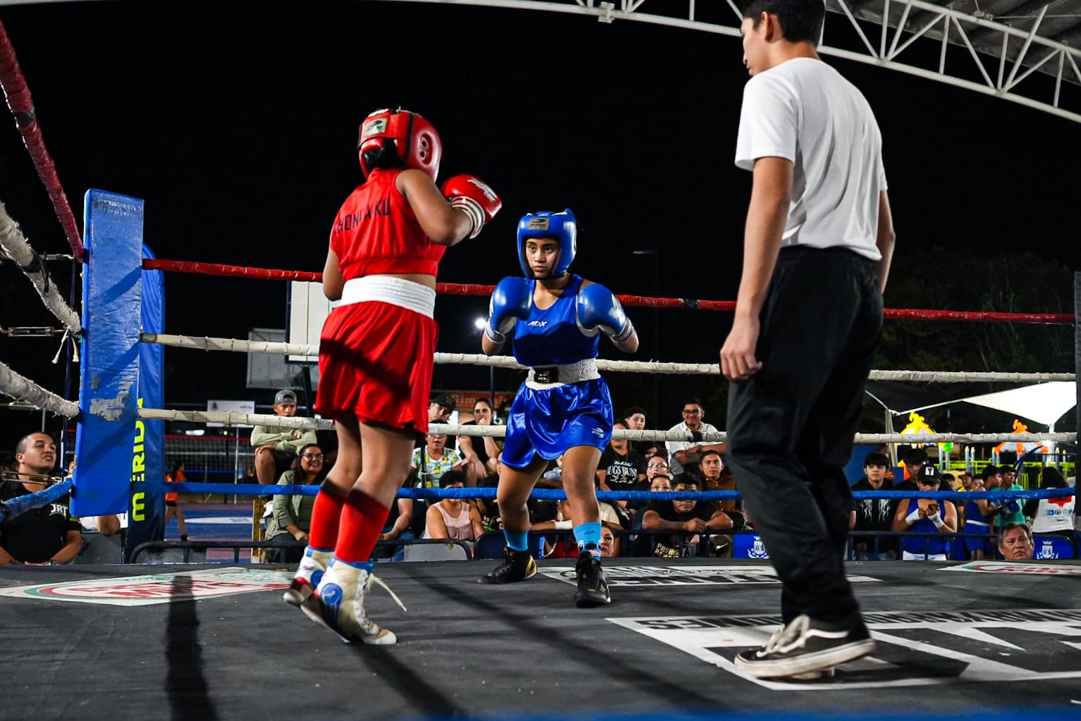 WhatsApp Image 2026-01-15 at 7.23.27 PM