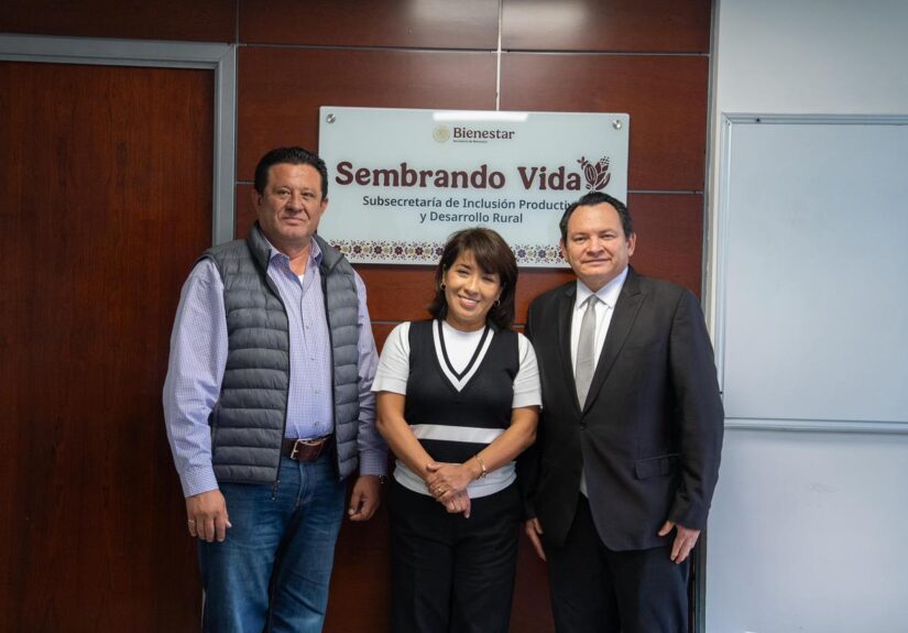 WhatsApp Image 2026-02-04 at 7.44.48 AM