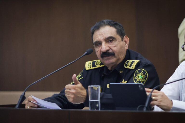 WhatsApp Image 2026-02-11 at 4.09.19 PM