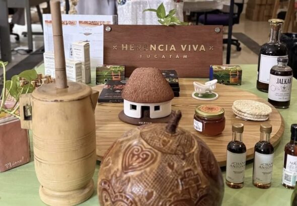 WhatsApp Image 2026-02-11 at 6.23.12 PM