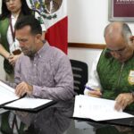 WhatsApp Image 2026-02-12 at 12.58.03 PM