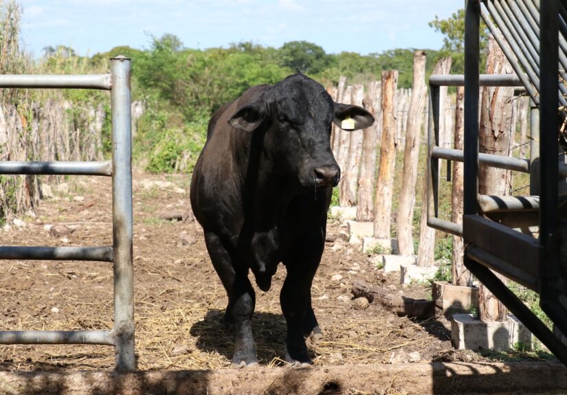 WhatsApp Image 2026-02-14 at 11.29.22 AM