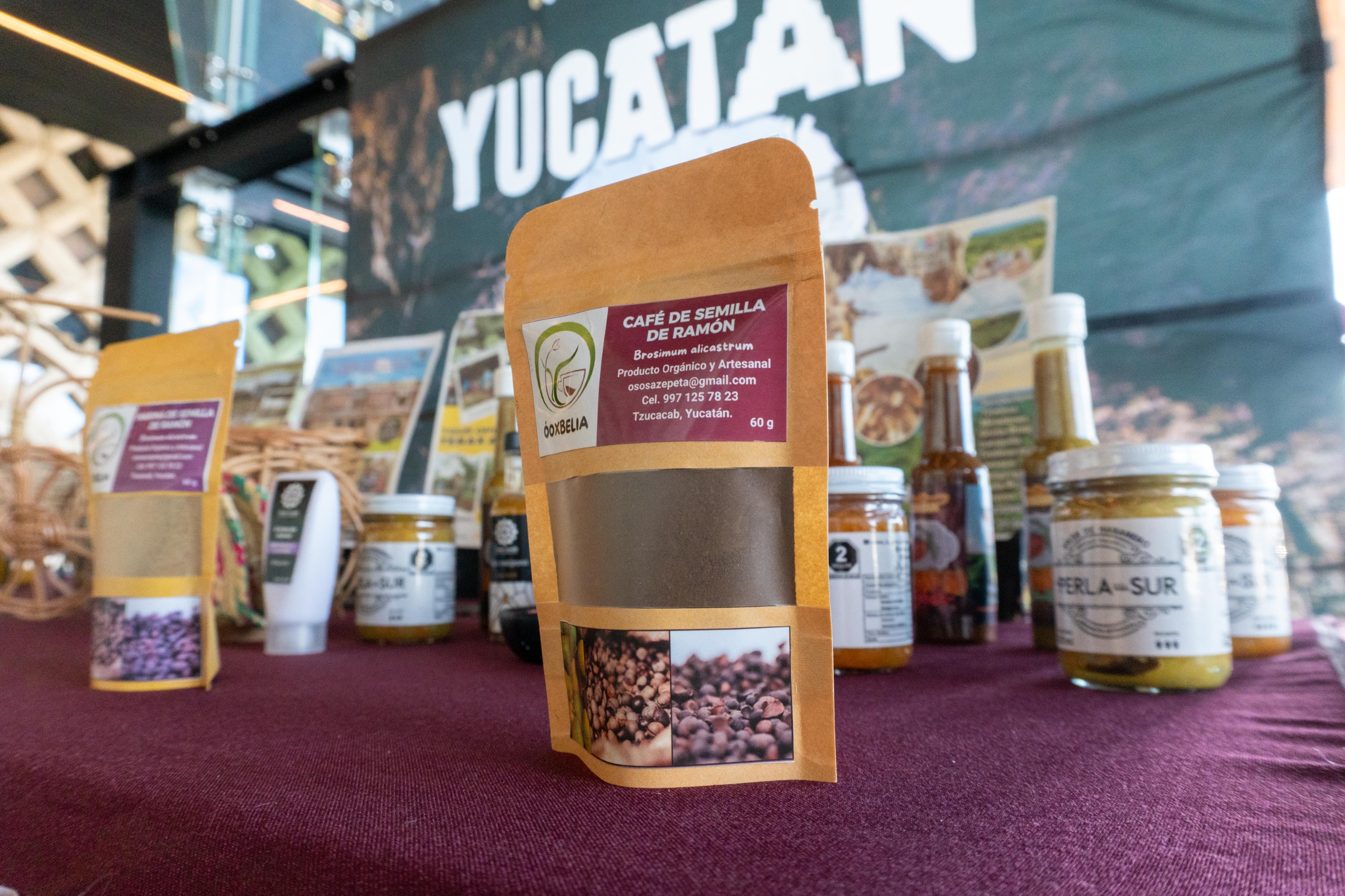 WhatsApp Image 2026-02-19 at 3.18.15 PM