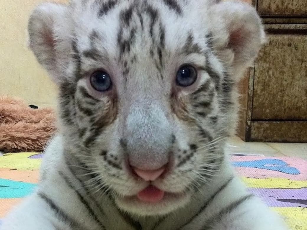 WhatsApp Image 2026-02-22 at 2.51.19 PM