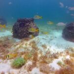 WhatsApp Image 2026-02-28 at 4.52.44 PM