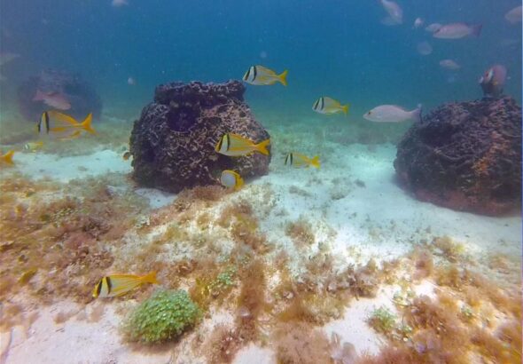 WhatsApp Image 2026-02-28 at 4.52.44 PM