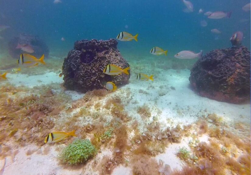 WhatsApp Image 2026-02-28 at 4.52.44 PM