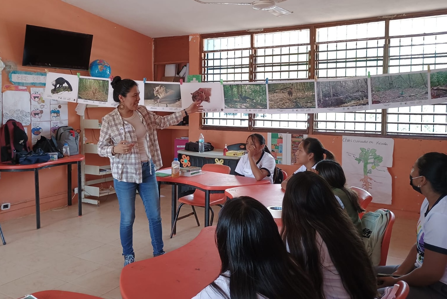 e21a8973-395d-45b6-b725-6874ae845e0e