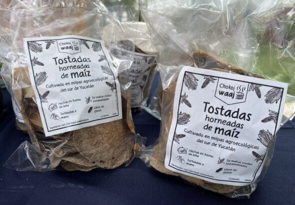 2025_10_02 Mercado agroecologico (80)