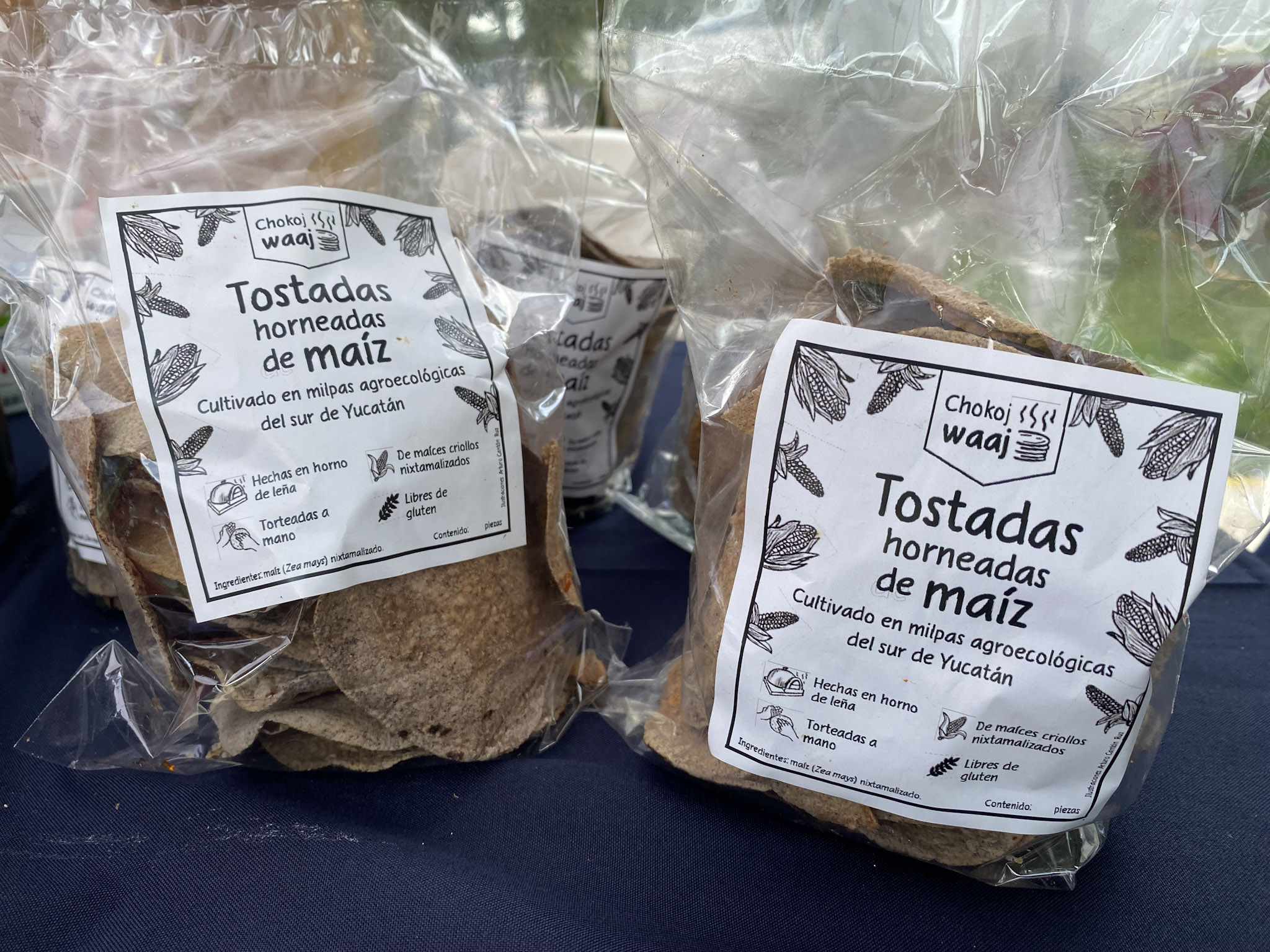 2025_10_02 Mercado agroecologico (80)