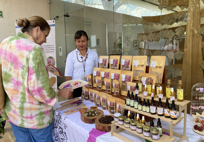 2026_03_20 Mercado agroecologico (3)