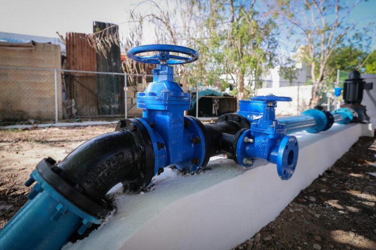 WhatsApp Image 2026-03-22 at 4.12.11 PM