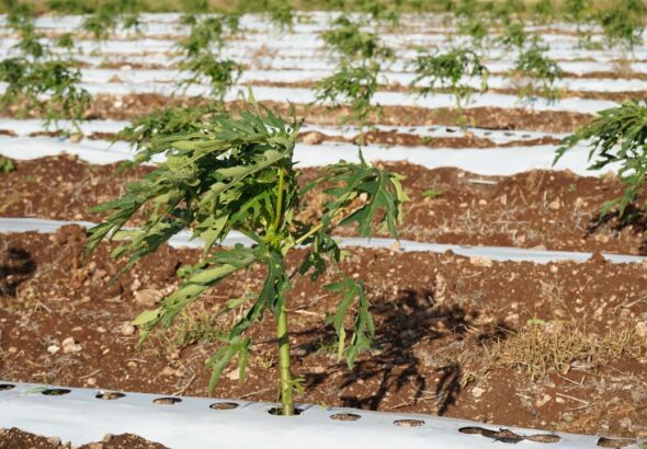 WhatsApp Image 2026-03-27 at 10.07.00 AM