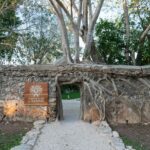 WhatsApp Image 2026-03-28 at 3.22.06 PM