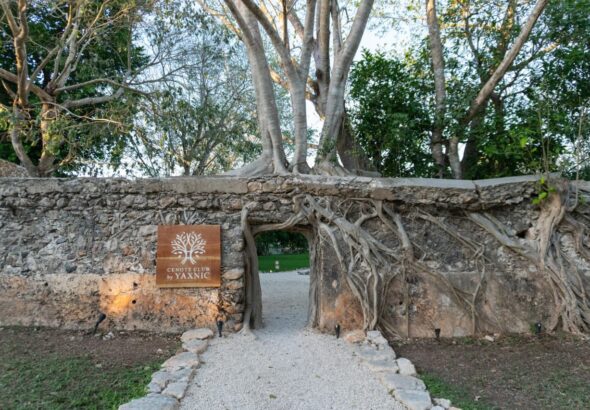 WhatsApp Image 2026-03-28 at 3.22.06 PM