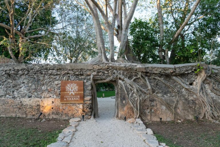 WhatsApp Image 2026-03-28 at 3.22.06 PM