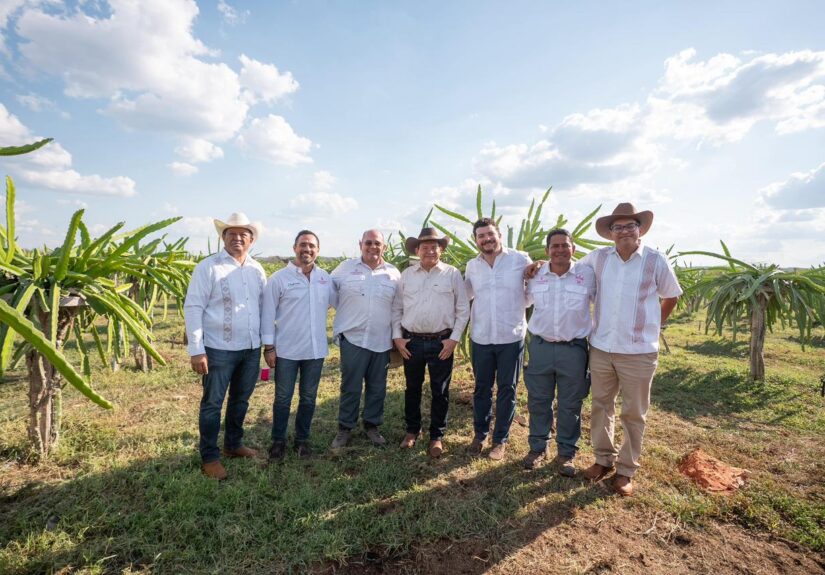 WhatsApp Image 2026-04-01 at 3.14.12 PM