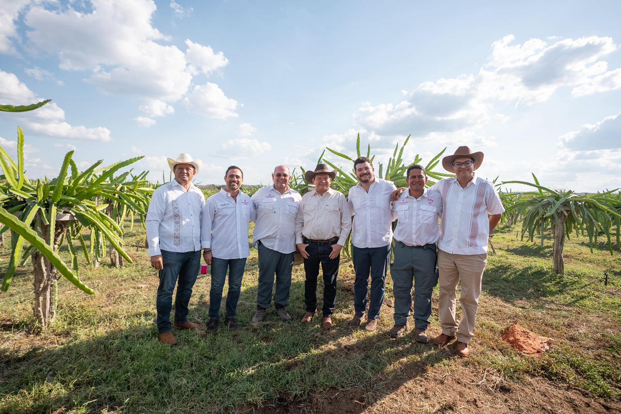 WhatsApp Image 2026-04-01 at 3.14.12 PM