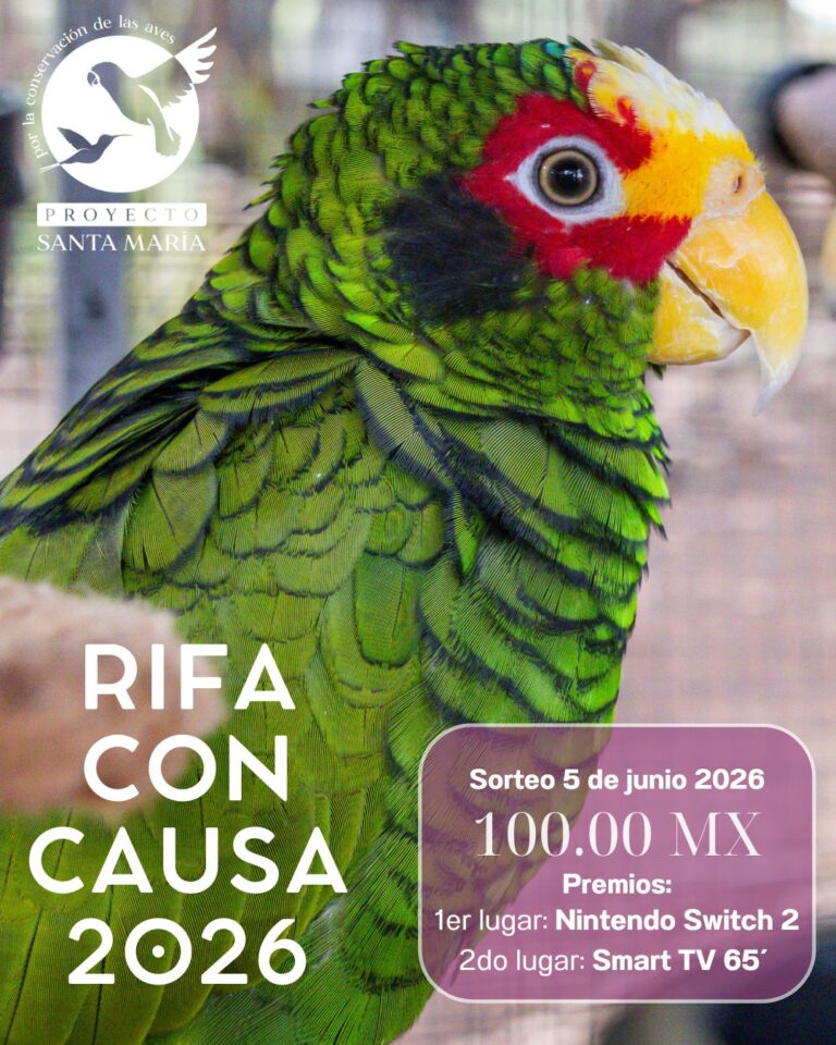 WhatsApp Image 2026-04-04 at 11.40.54 AM