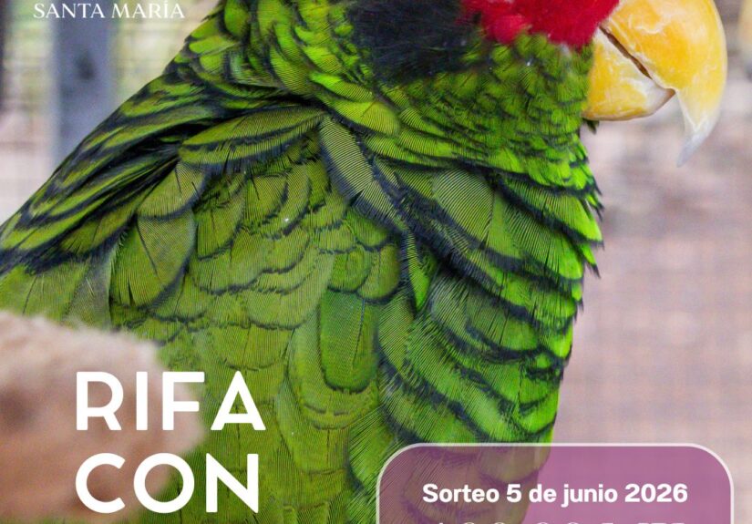 WhatsApp Image 2026-04-04 at 11.40.54 AM