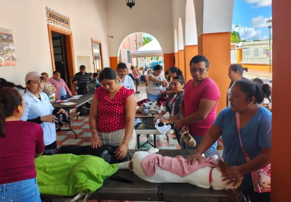 WhatsApp Image 2026-04-04 at 5.00.05 PM (1)