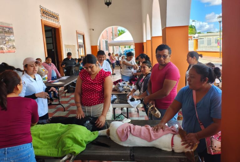 WhatsApp Image 2026-04-04 at 5.00.05 PM (1)