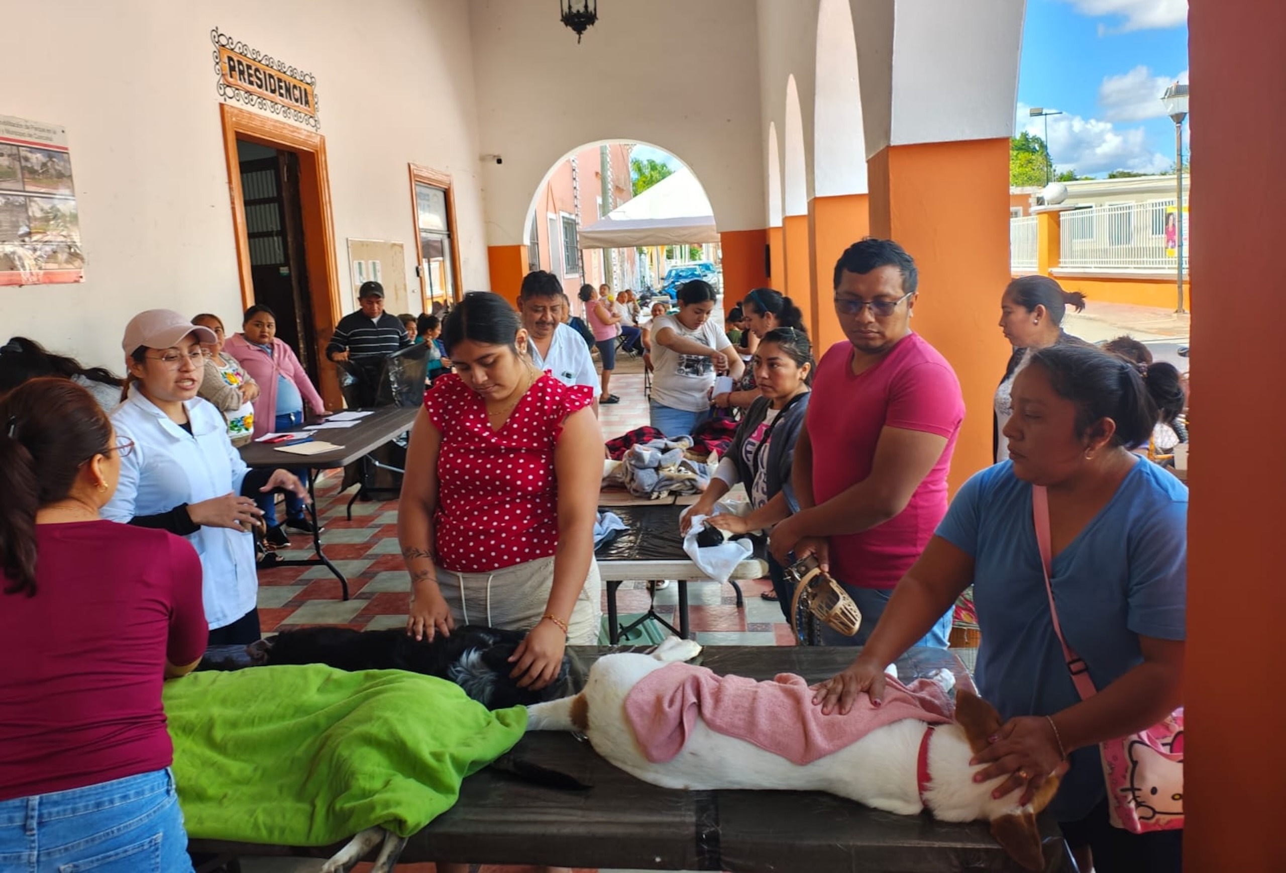 WhatsApp Image 2026-04-04 at 5.00.05 PM (1)