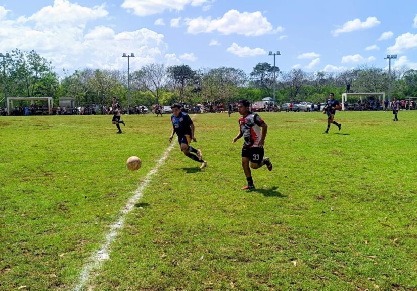 WhatsApp Image 2026-04-06 at 2.50.41 PM