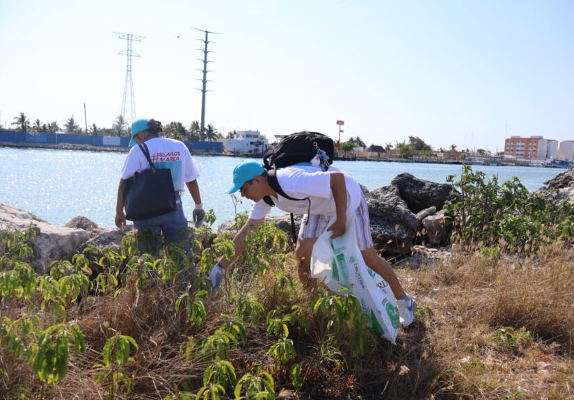 WhatsApp Image 2026-04-27 at 4.00.51 PM